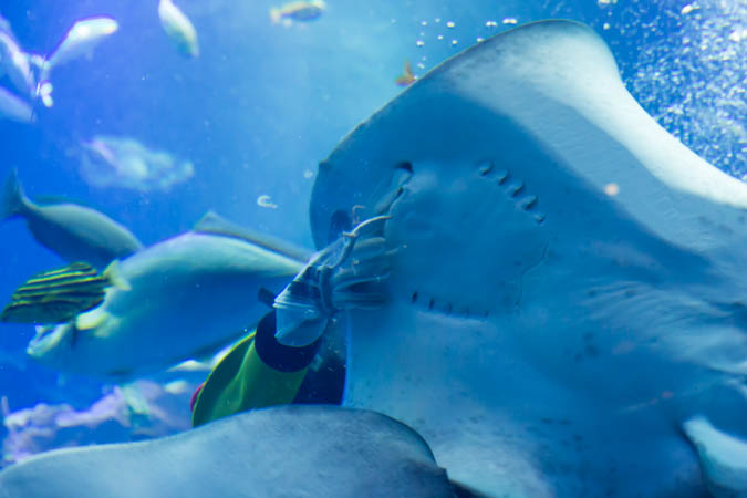 d0139939_18154581.jpg