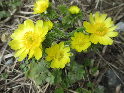 d0154344_20301923.jpg