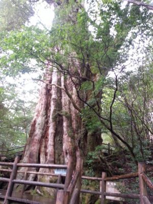 c0264950_637155.jpg