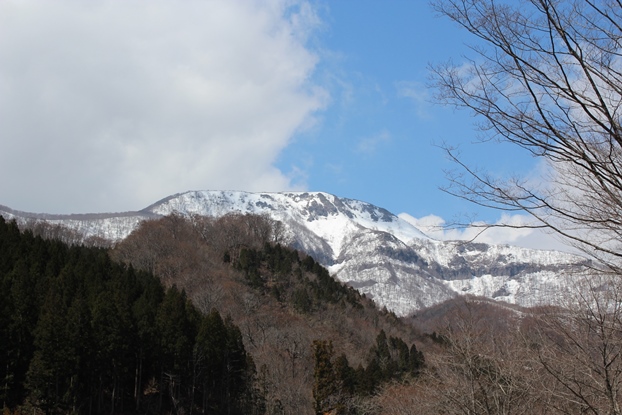 e0239458_1901742.jpg