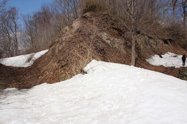 e0239458_20144825.jpg