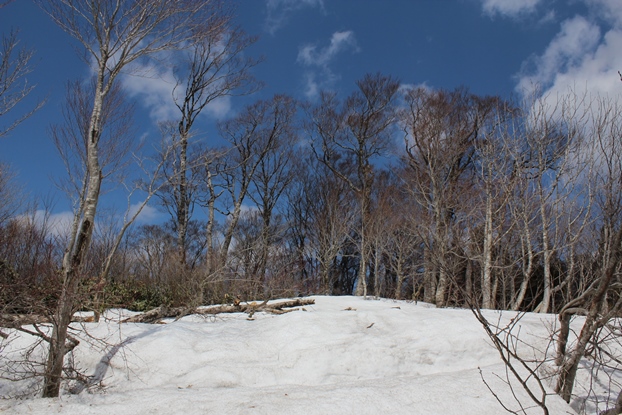 e0239458_20223763.jpg