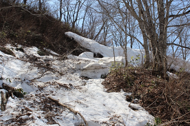 e0239458_20293457.jpg