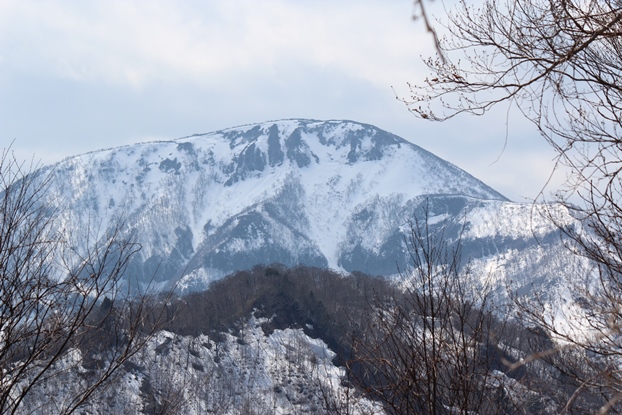 e0239458_2037666.jpg