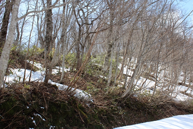 e0239458_2043476.jpg