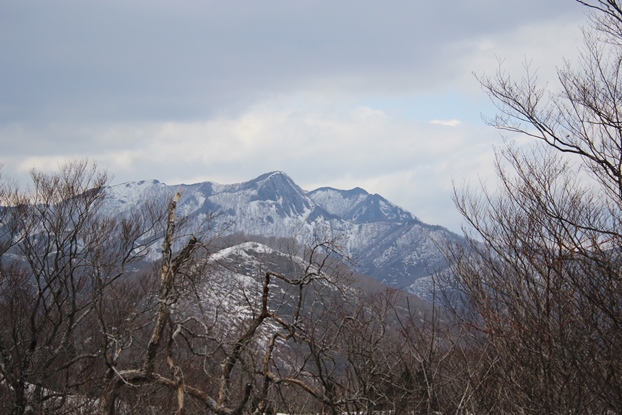 e0239458_2048947.jpg