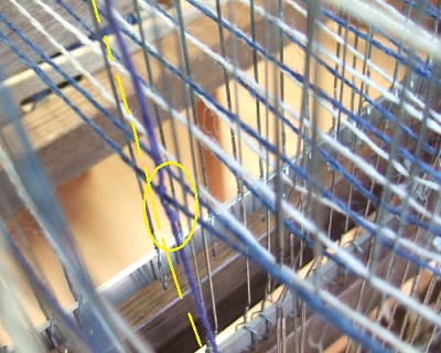 e0225164_892719.jpg