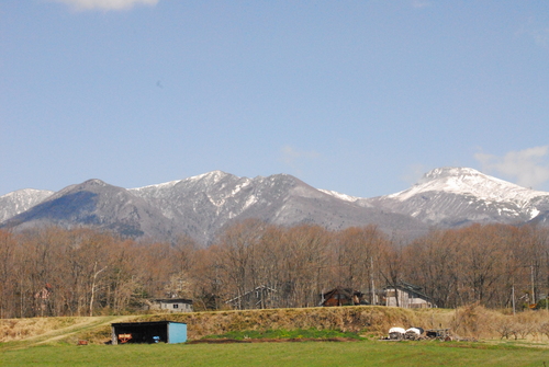 e0151566_1925548.jpg