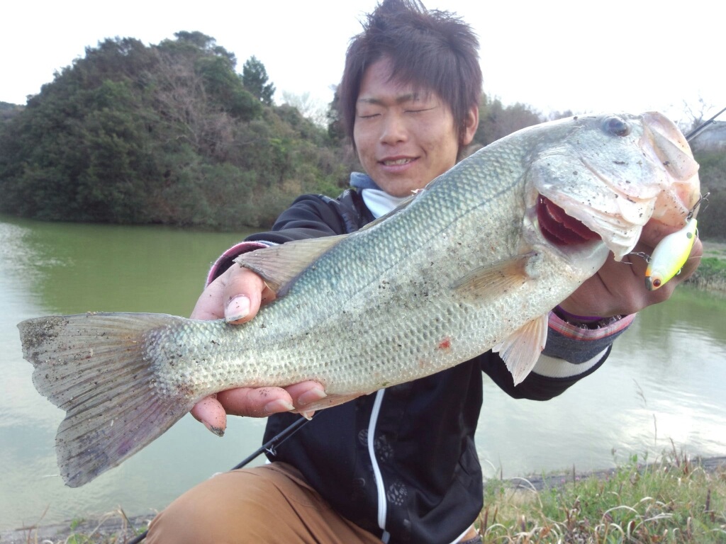c0135271_23232147.jpg
