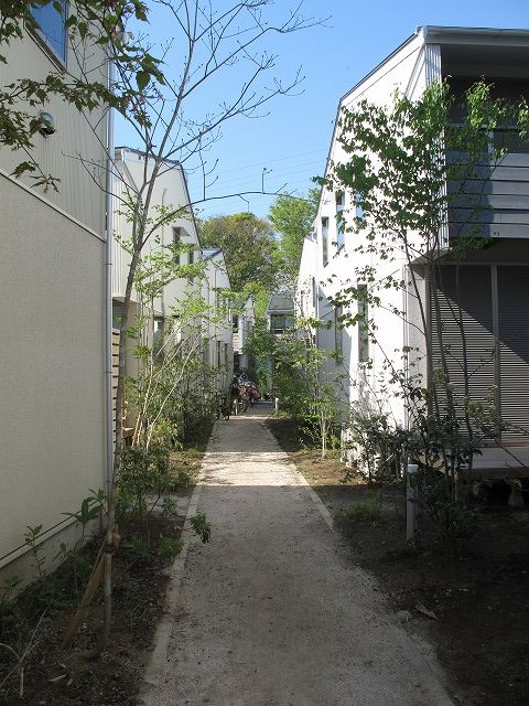 a0063175_21281575.jpg