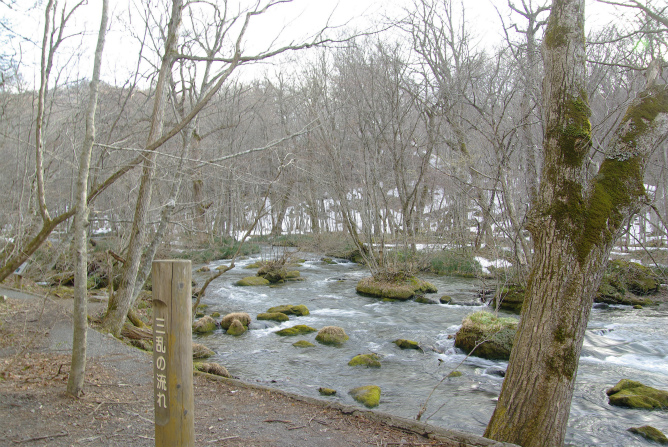 d0165378_1640476.jpg