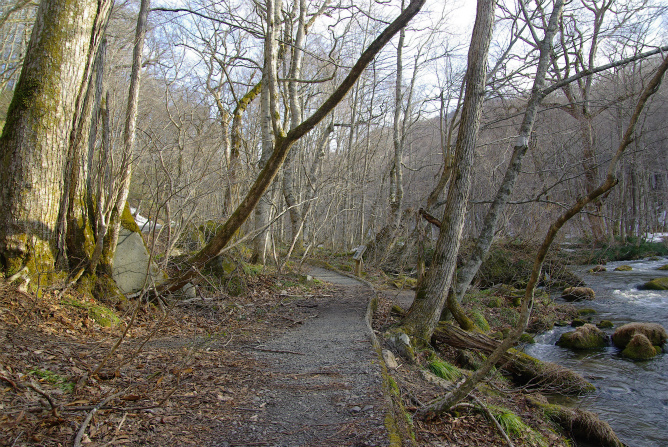 d0165378_1640740.jpg
