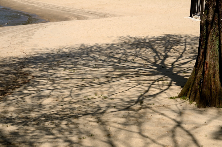f0108478_17221523.jpg