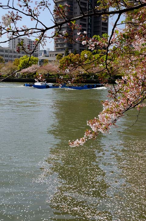 f0108478_1723231.jpg