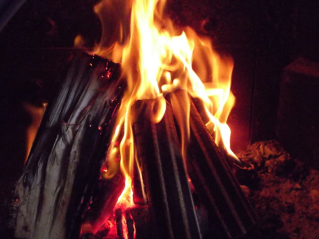 a0007388_11593719.jpg
