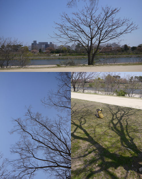 f0222692_1520502.jpg