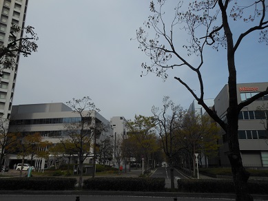a0137294_951117.jpg