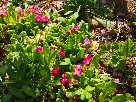 c0117007_20123089.jpg