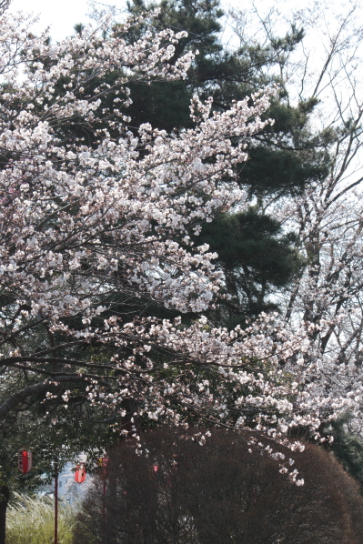 d0001008_16315839.jpg