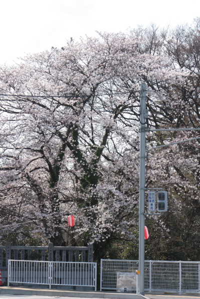 d0001008_16373145.jpg
