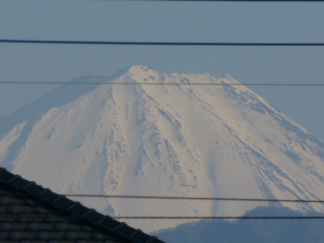 a0275715_0501694.jpg
