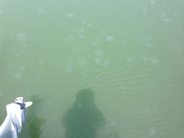 f0100920_23542666.jpg