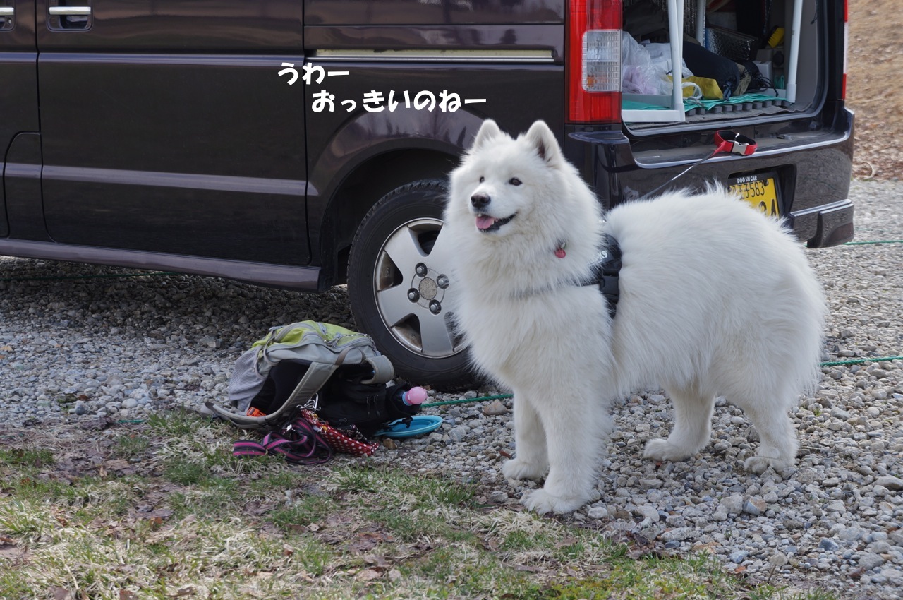 f0234023_22201630.jpg