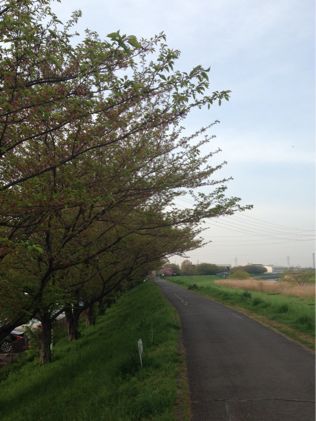 b0203925_937370.jpg