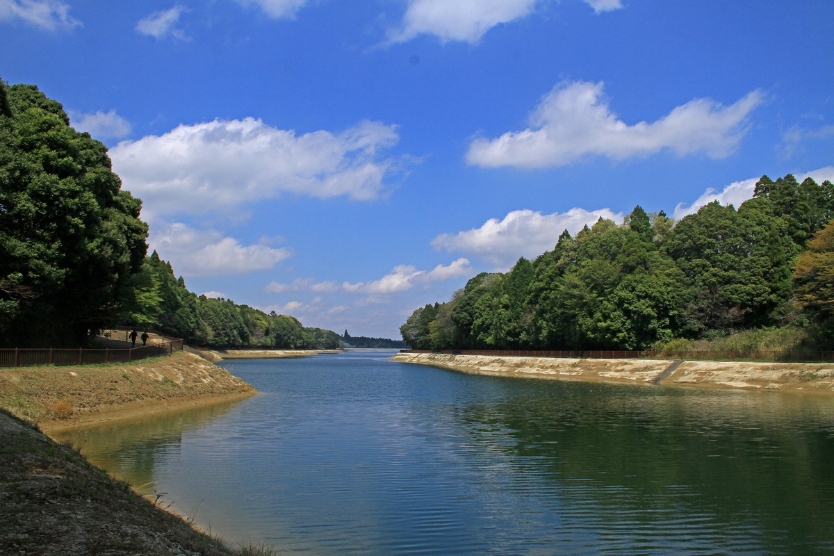 c0104227_7294627.jpg