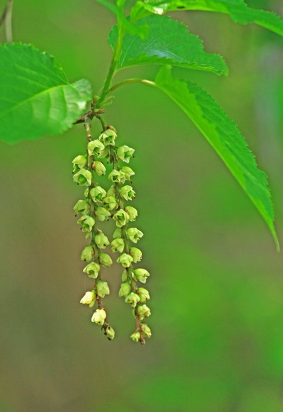 c0104227_734104.jpg