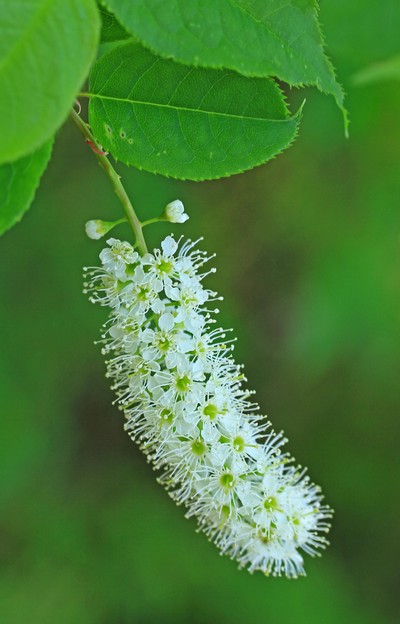 c0104227_835038.jpg