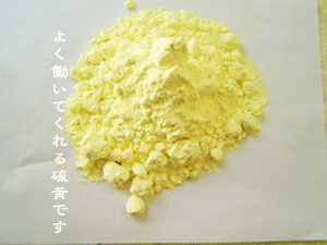 d0042827_22335956.jpg
