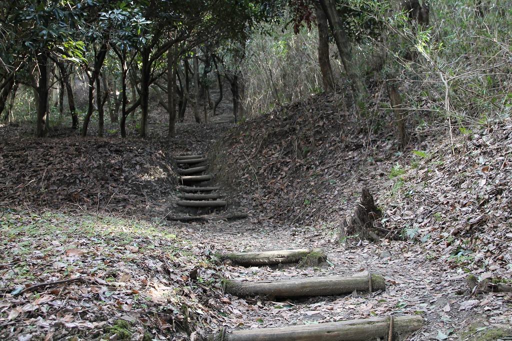 b0162728_17221140.jpg