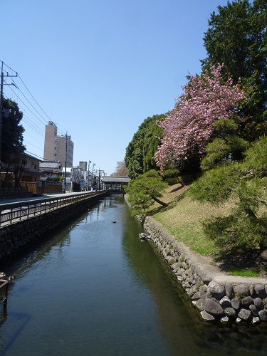a0024829_22252357.jpg