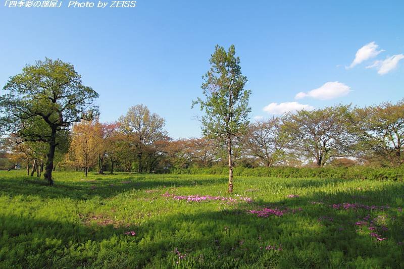 a0195032_11194658.jpg