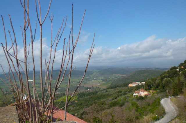 d0170140_19342771.jpg