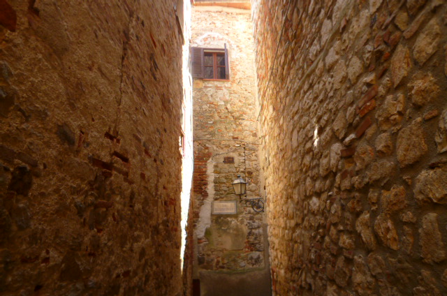 d0170140_194724100.jpg