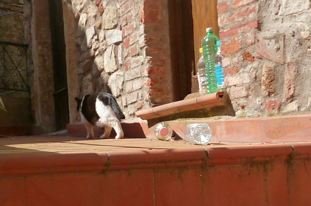 d0170140_1955072.jpg