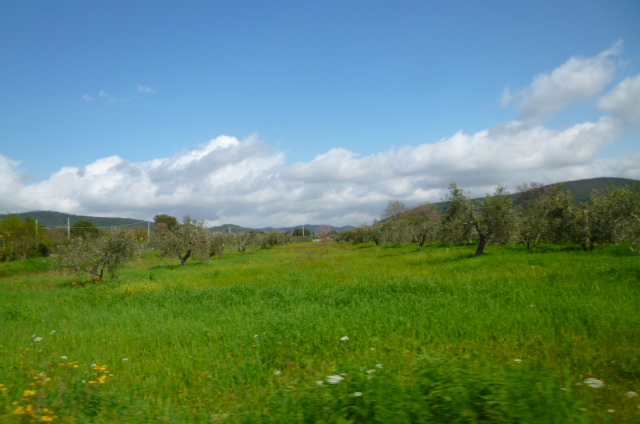 d0170140_205503.jpg