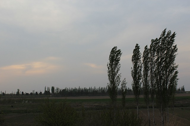 d0195041_19142141.jpg
