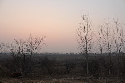 d0195041_1981445.jpg