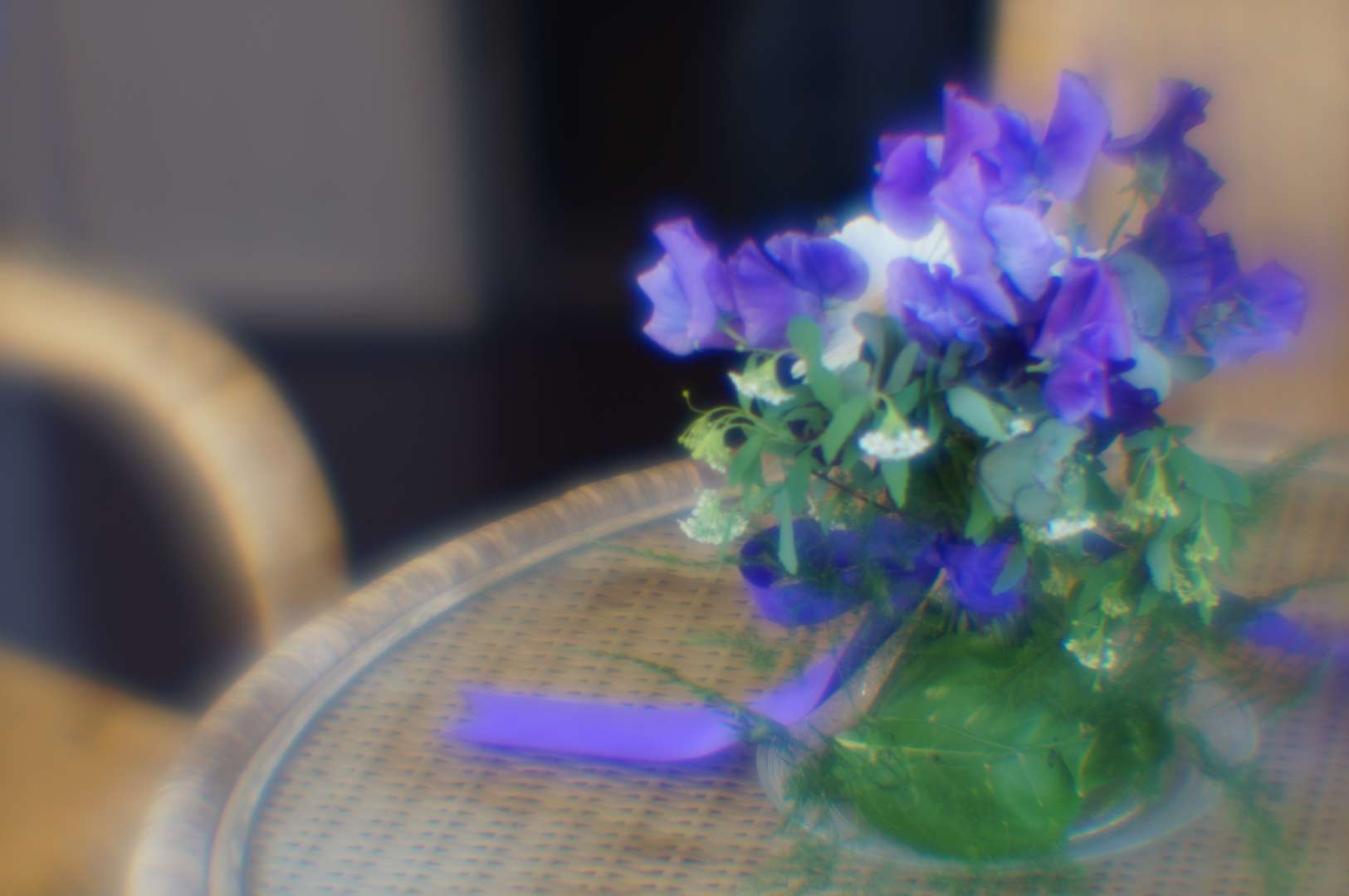 a0063552_11552862.jpg
