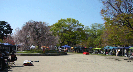 c0225153_0254461.gif