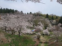 c0208355_13513888.jpg