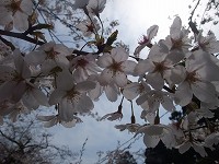 c0208355_13514930.jpg