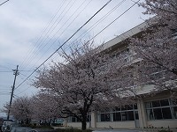 c0208355_13553945.jpg