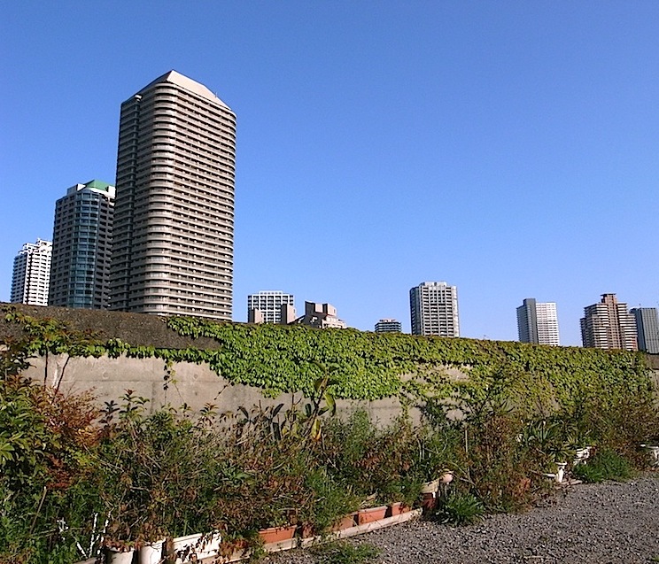 f0134963_11523019.jpg