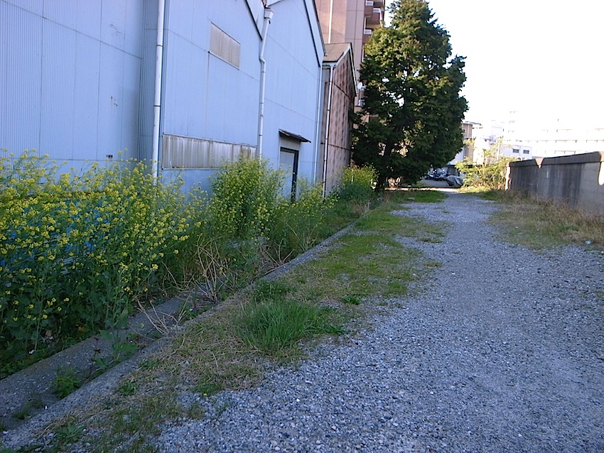 f0134963_1154239.jpg