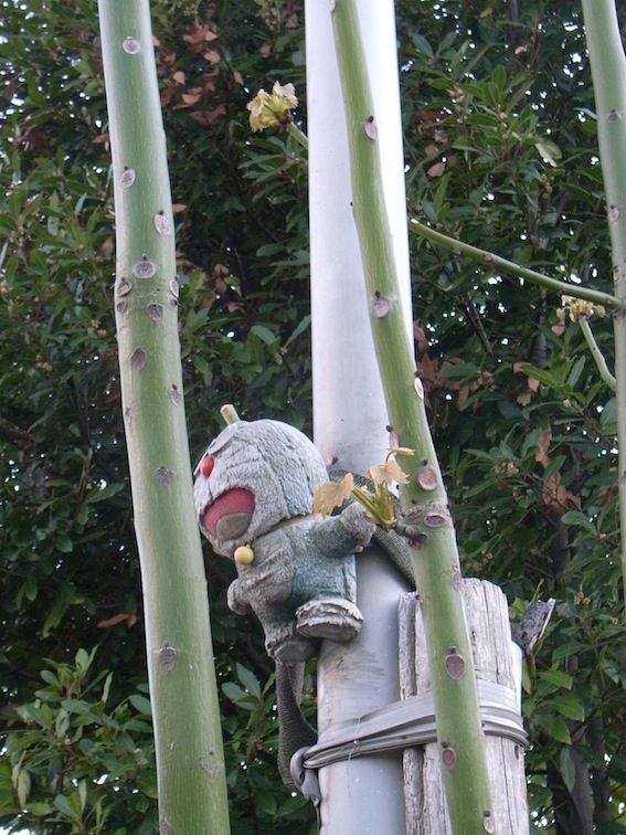 f0134963_11554753.jpg