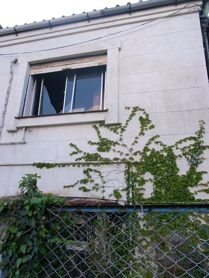 f0134963_9185670.jpg